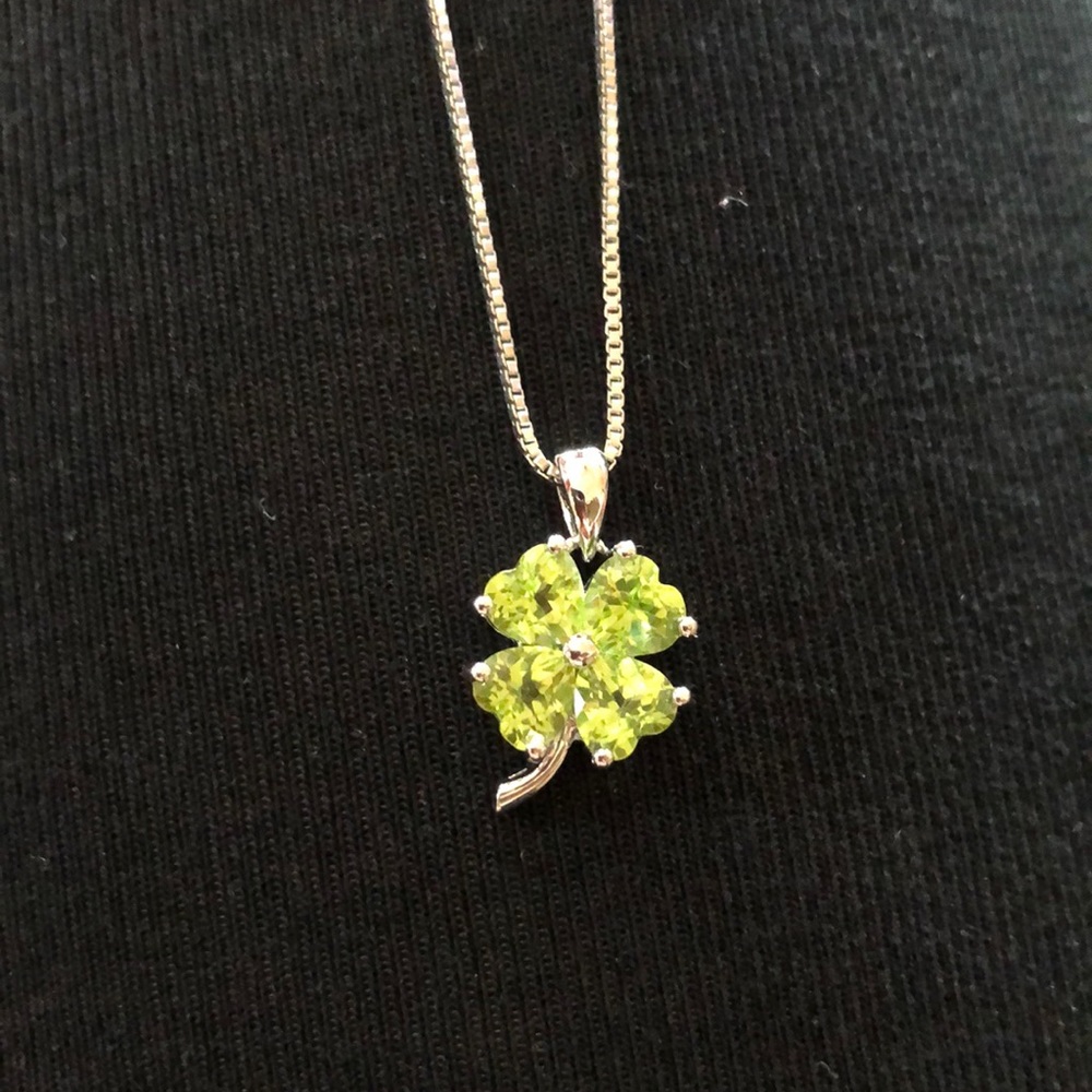 Four leaf clover necklace. Never worn, brand new.